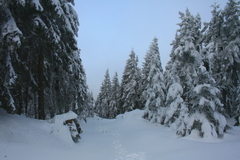 Killikus&reg; Fotographie